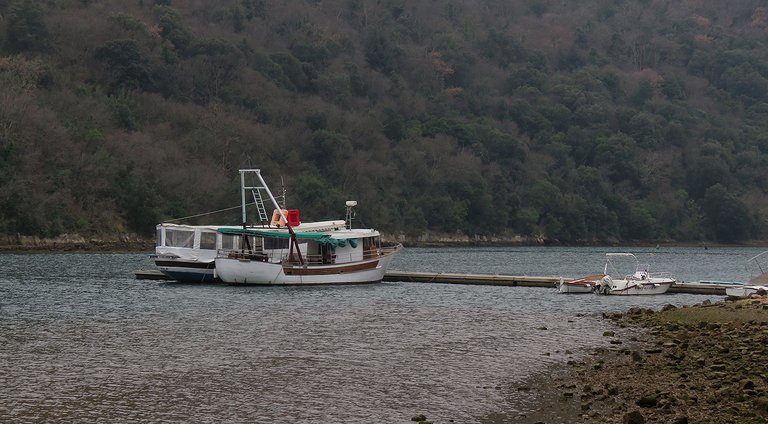 img_3508_malo.jpg