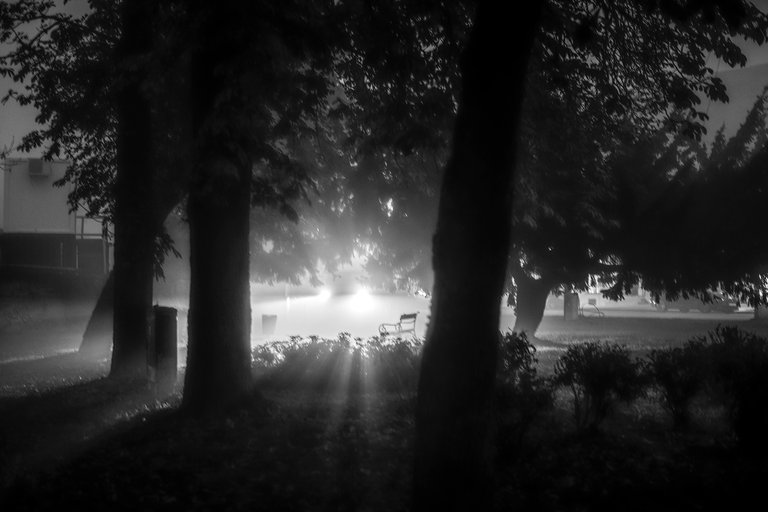 A completely ordinary evening in my city - Black&White