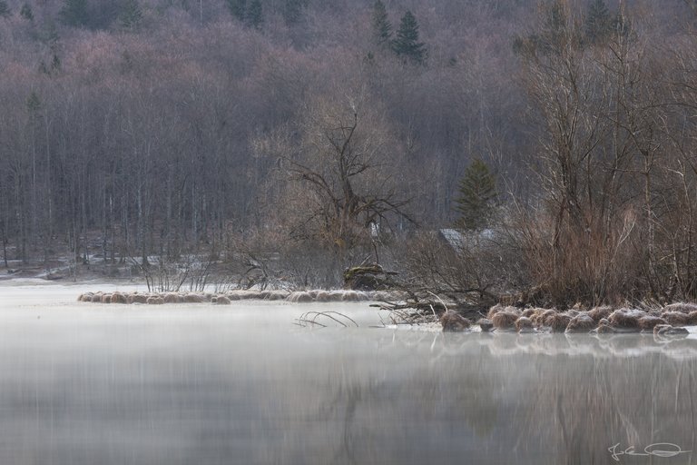 Hive AlphabetHunt Lake Bohinj