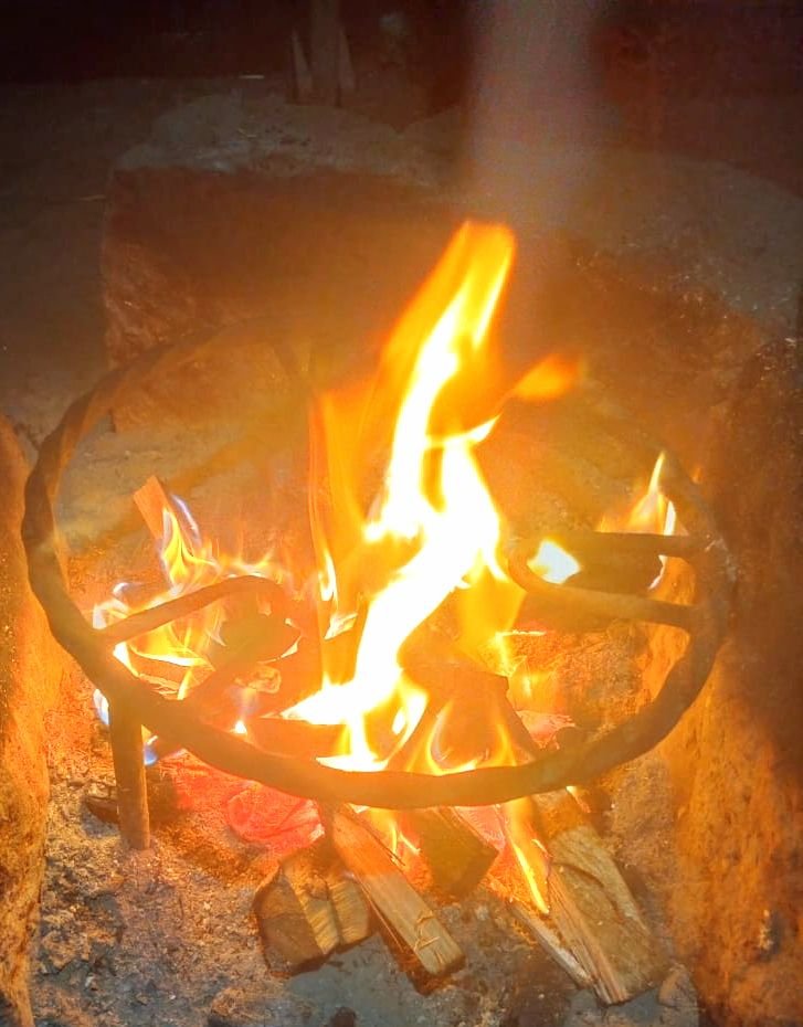 ZapficMonday... She took the warmth.. 