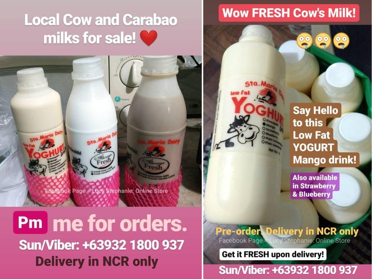 milk_and_yogurts.jpg