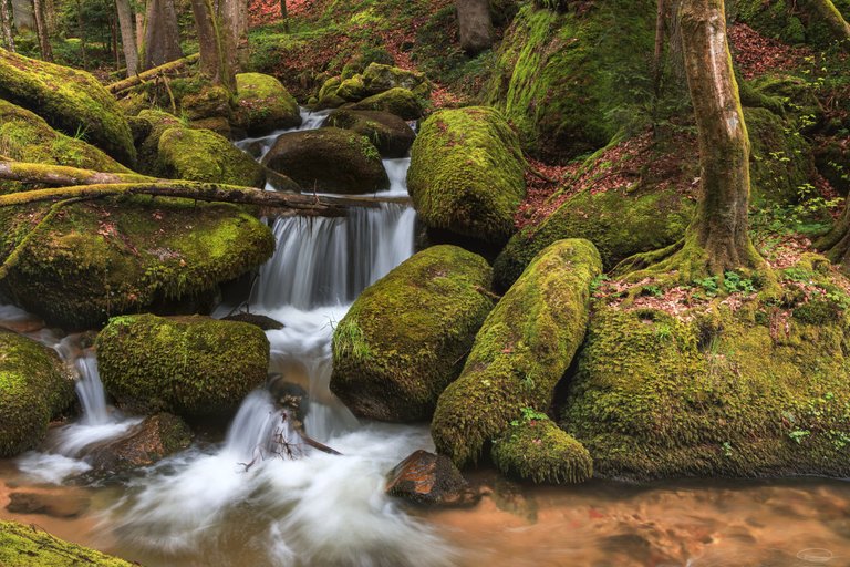 Wolfsschlucht - Wolfs Gorge - Bad Kreuzen - Upper Austria - Johann Piber