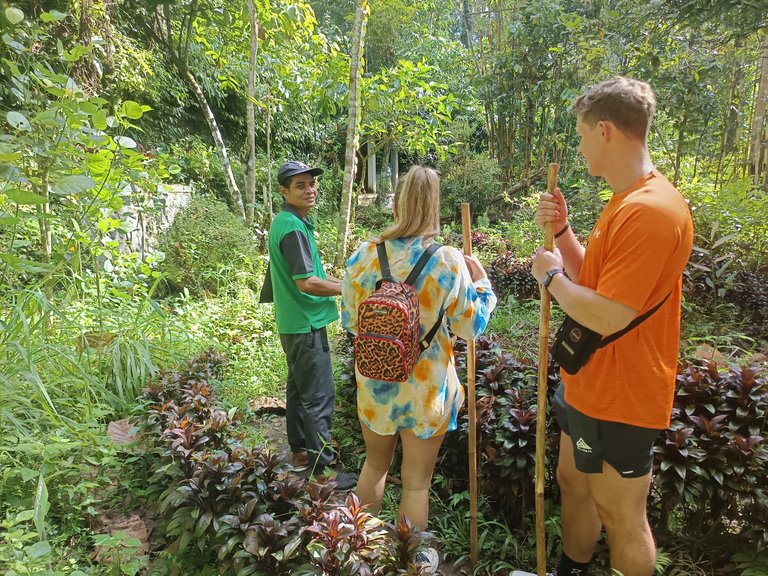 Trekking To Petanu Waterfall