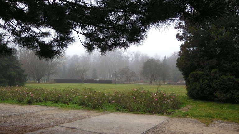 a01.jpg