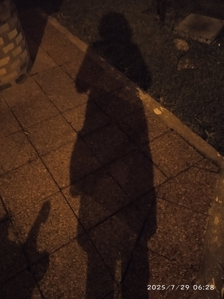 Shadow Hunters Contest Round 385 - Shadows in the Night