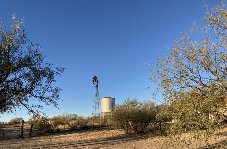 Windmill