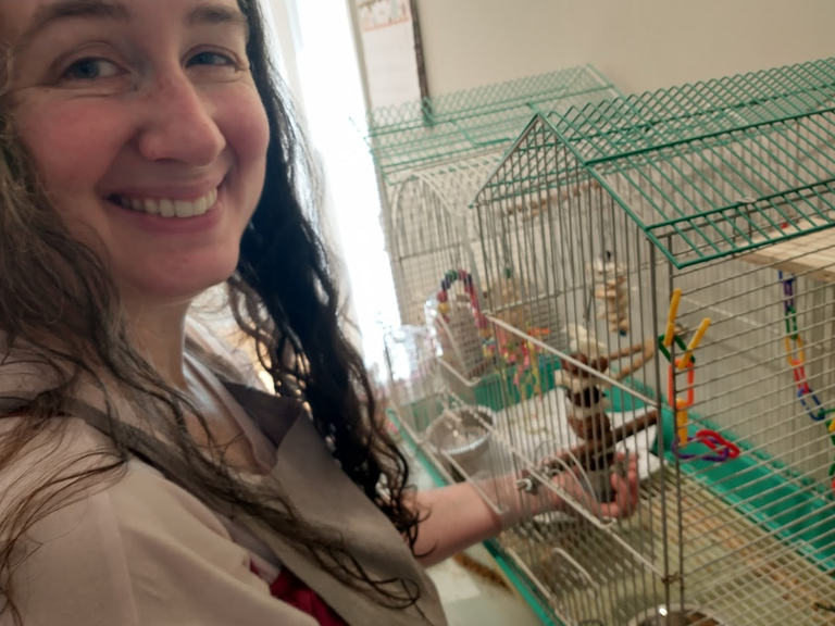 Our New Birdie!  Meet Skyler.