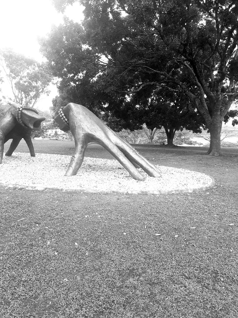 20220421_090505.jpg