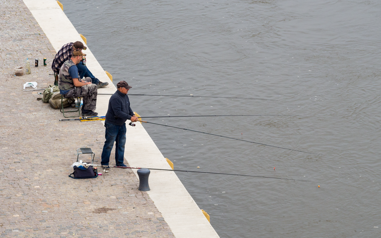 Early in the morning, fishermen are fishing and drinking beer on the shore.