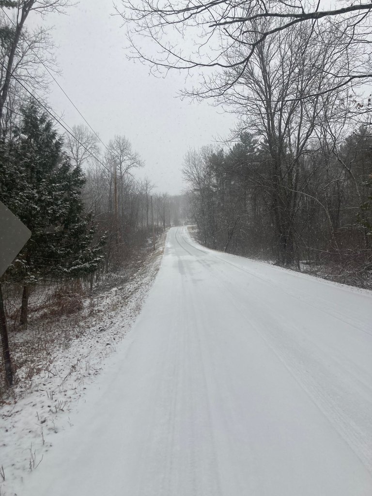 Snowing on Rogers Road