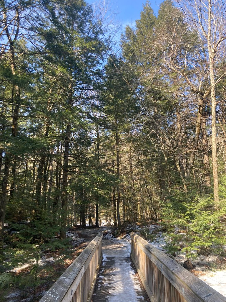 Bridge