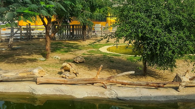 dubai_zoo_22_01.jpeg