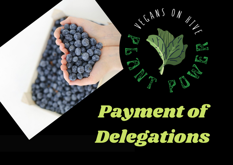 Payment of Delegations