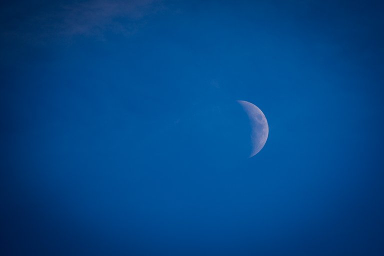 The moon during the day