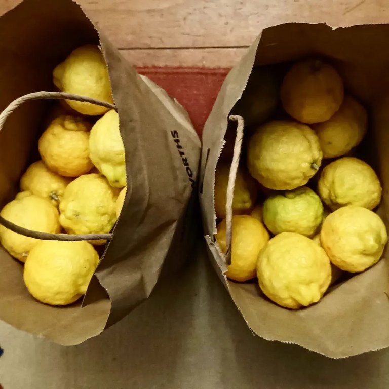 more lemons