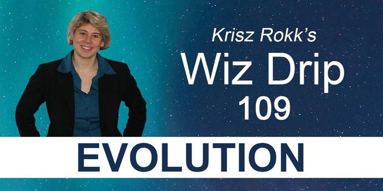 Krisz Rokk's Wiz Drip 109 - Evolution