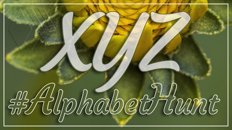 Hive AlphabetHunt - Letter X, Y and Z