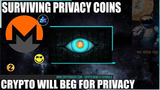 surviving_privacy_coins_wxmr_btc_250k_will_beg_for_privacy_cryptoxicate_com.jpg