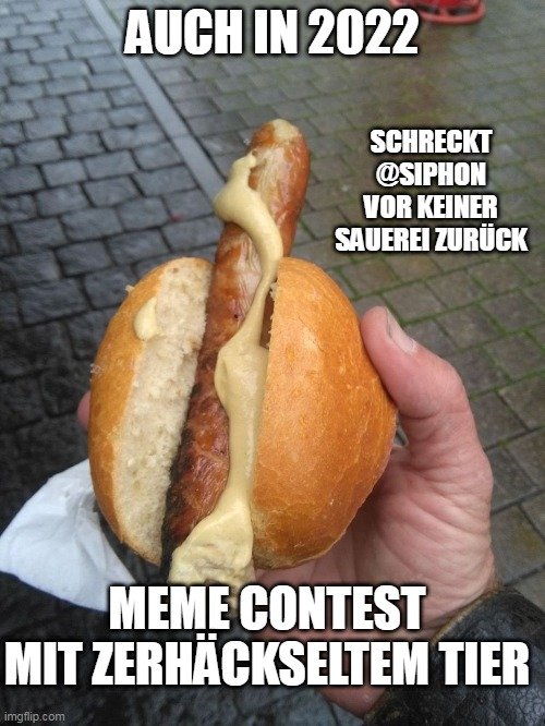 meme_gmbh_contest_iii_th_ringer_lil_.jpg