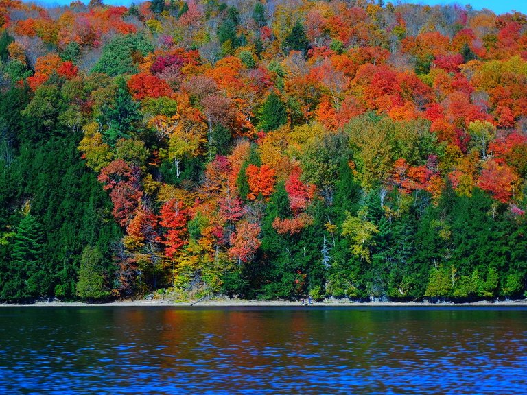 fall_5.jpg