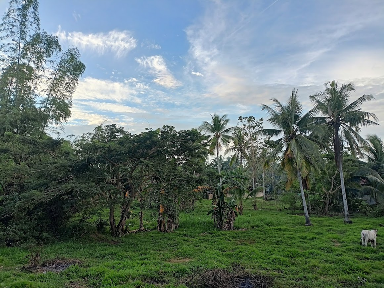 Savoring Countryside's Natural Beauty and Freshness...