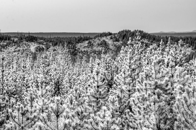 new_bw_yellowstone_1.jpg