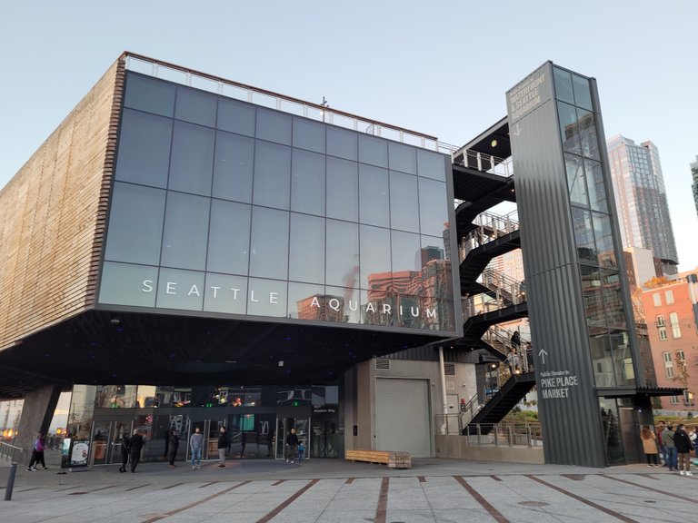 The Aquarium