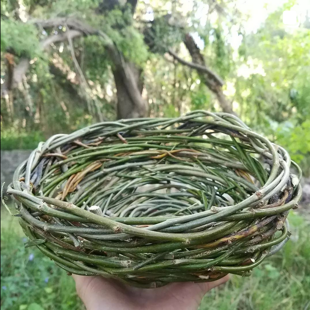 Learn to Weave! Basket weaving with foraged fibres