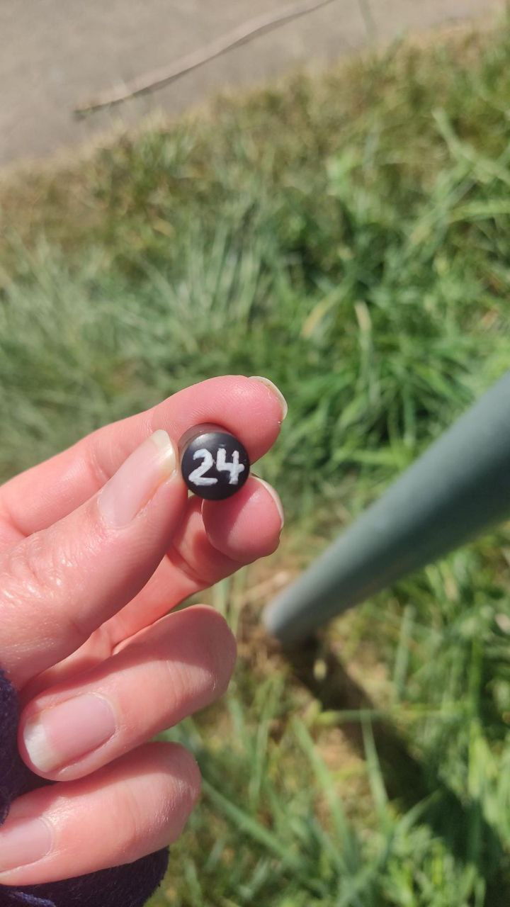 magnetic nano cache - Eifel