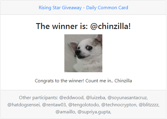 winner_chinzilla.png