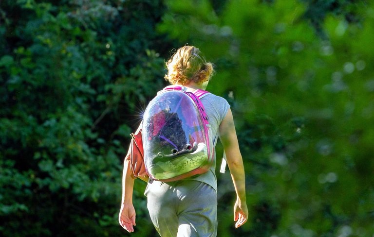 WHAT ADVICE WOULD YOU  GIVE TO SOMEONE LEAVING SCHOOL TODAY?