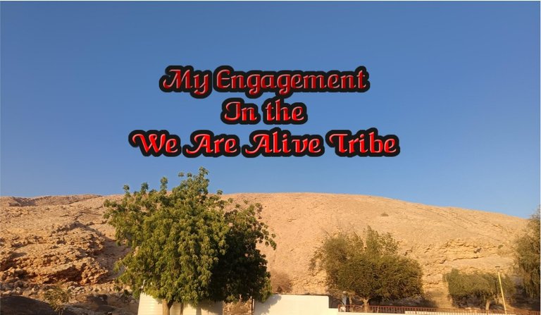 My Engagement in the We Are Alive Tribe on Saturday, July 19, 2025