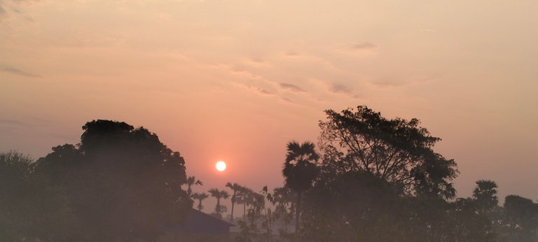 Positive Vibe of Sunrise Looking and Progress on Terracorehub 