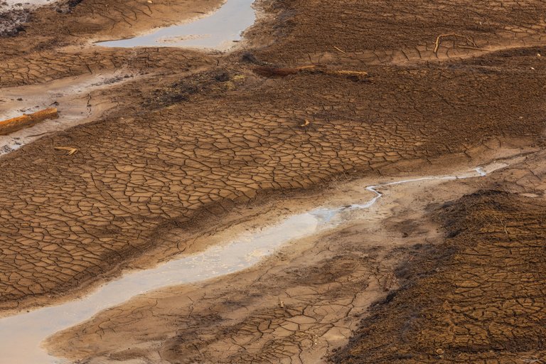 Lake Forstsee: dry mud and small trickles