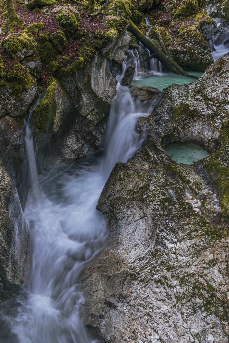 Šunikov vodni gaj - Slovenia - Johann Piber