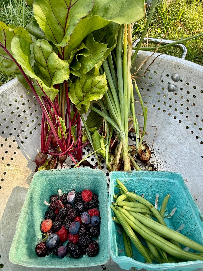 Harvest