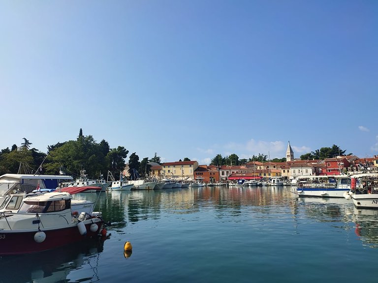 novigrad_marina1.jpg