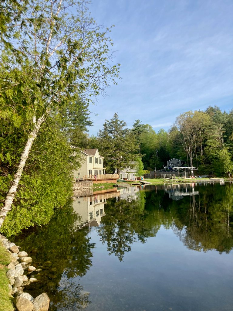 Cabin Tues