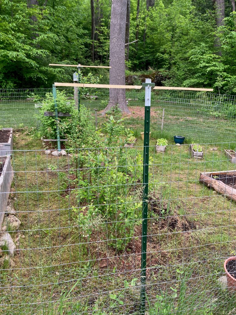Posts for nets