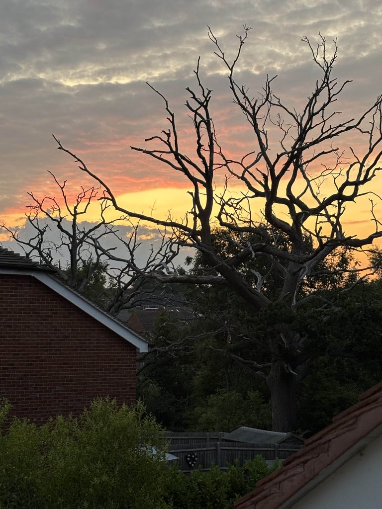A Beautiful Summer Sunset