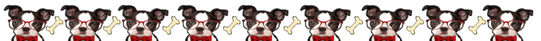 banner_buldong_frances_con_lentes_y_hueso.png