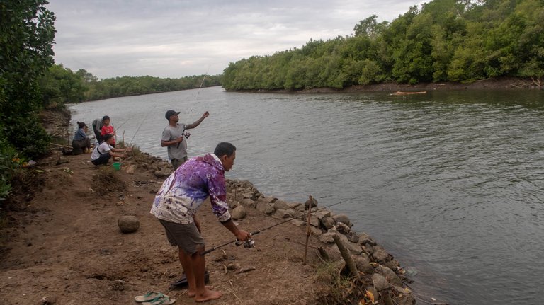 mangrove_walk_11