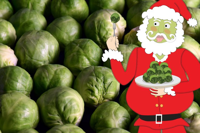 brussels_sprouts_6000_x_4000.jpg