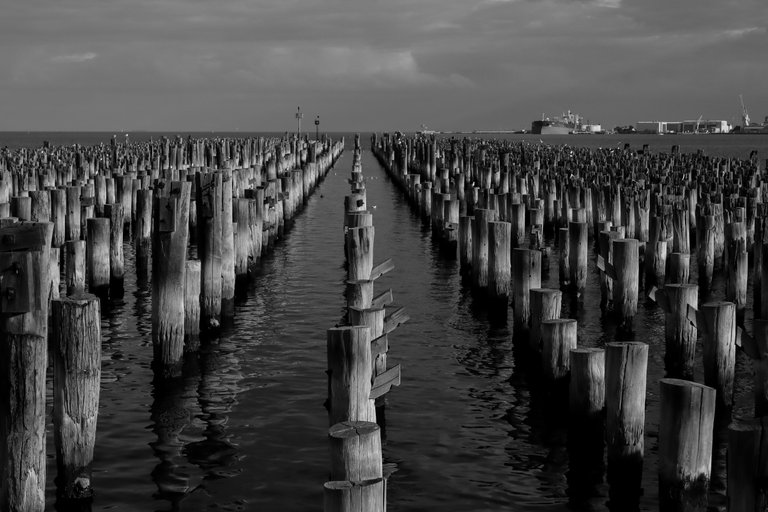 sunset_light_over_several_wooden_pier_poles_2.jpg