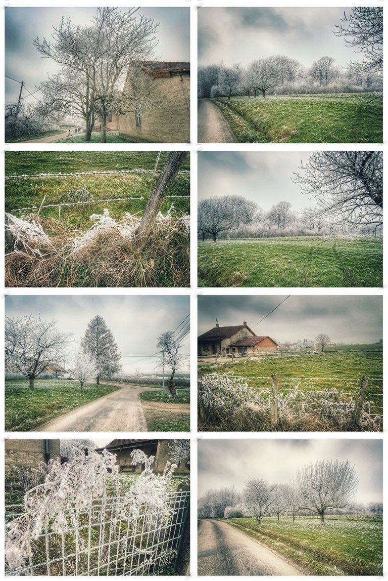 collage_2_redimcollage_frosty_landscapes_2.jpg