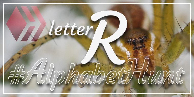 Hive AlphabetHunt - Letter R