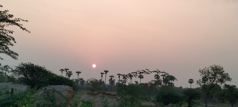 Natural Beauty of Sunrise and Progress on TerracoreHub 