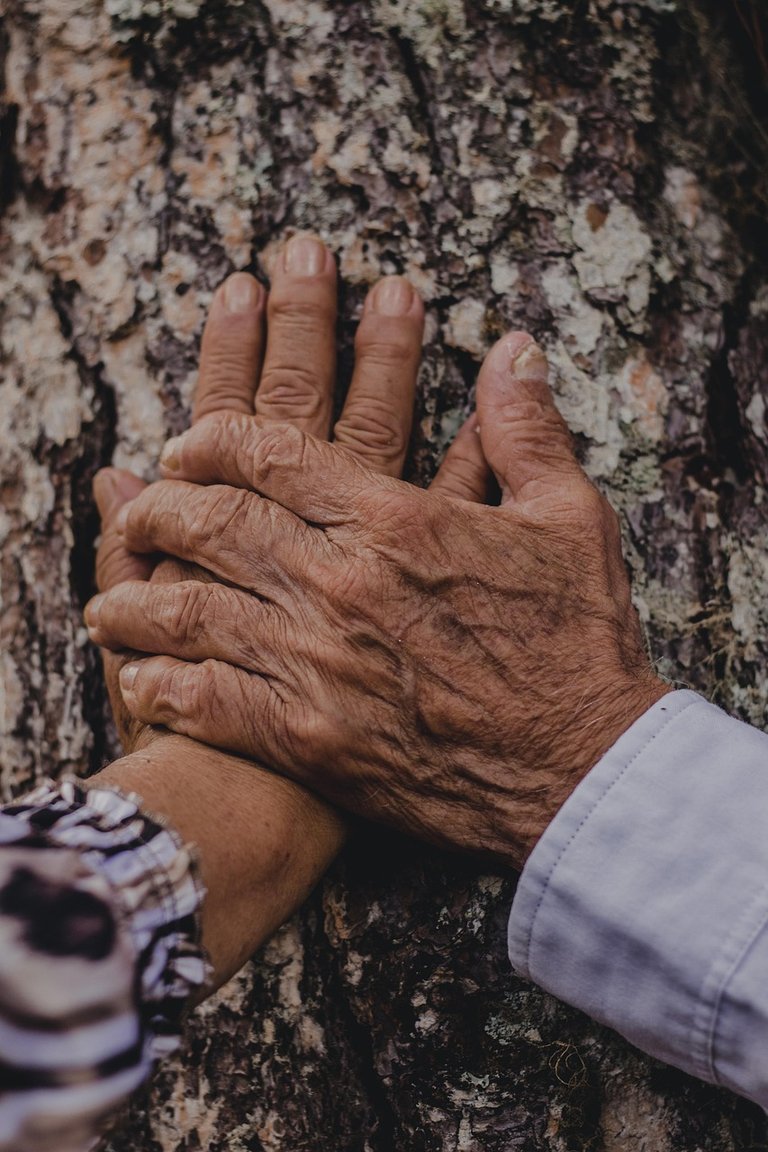BEYOND LOVE: A Journey To Forever. 
