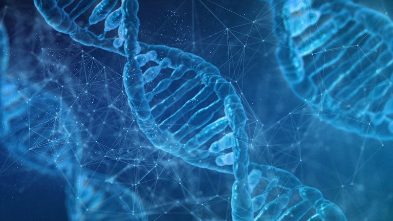 Sci-fi prompt: My Offsprings Genetic Makeup