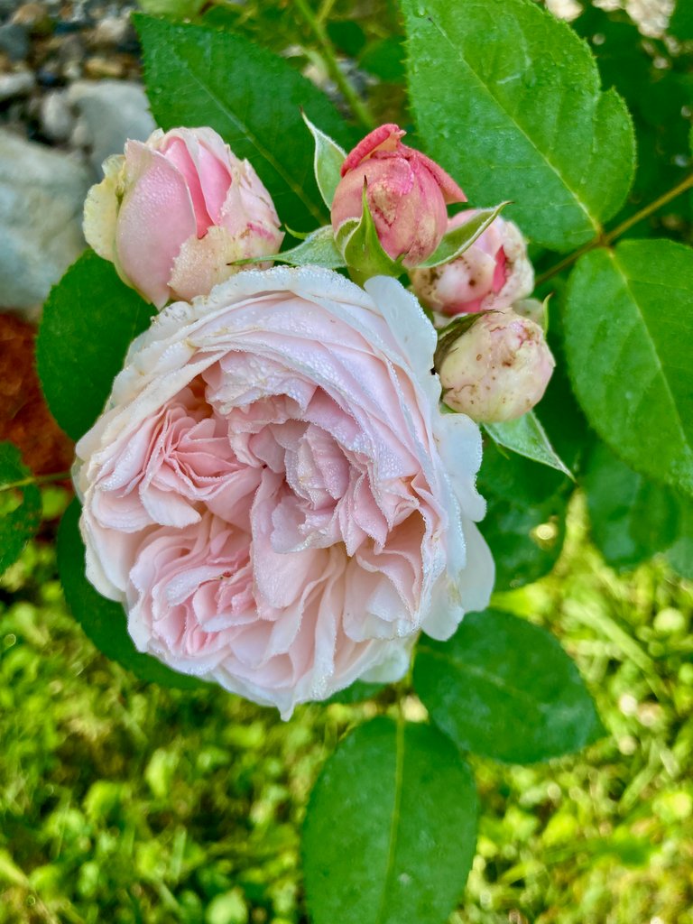 Cluster